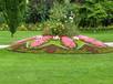  parterre de fleurs, Pépinière